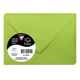 Enveloppe Vert Menthe 100X75 120G Pck:20 POLLEN