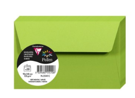Enveloppe Vert Menthe 140X90 120G Pqt:20 POLLEN