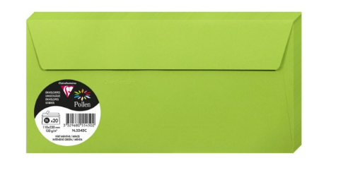 Enveloppe Vert Menthe 210X110 120G Pck:20