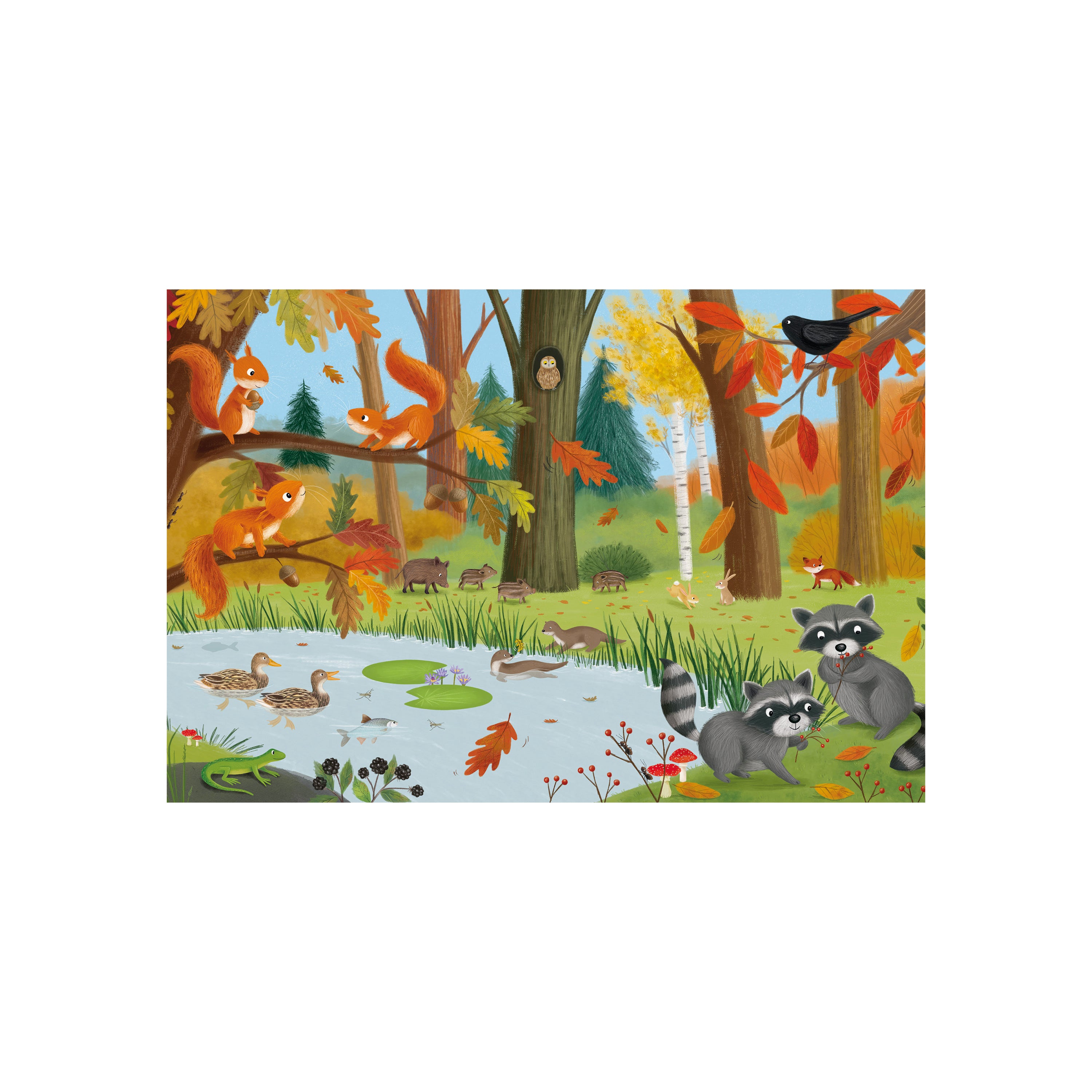 PZ3X24: FAUNE DE LA FORÊT ET DE LA PRAIRIE