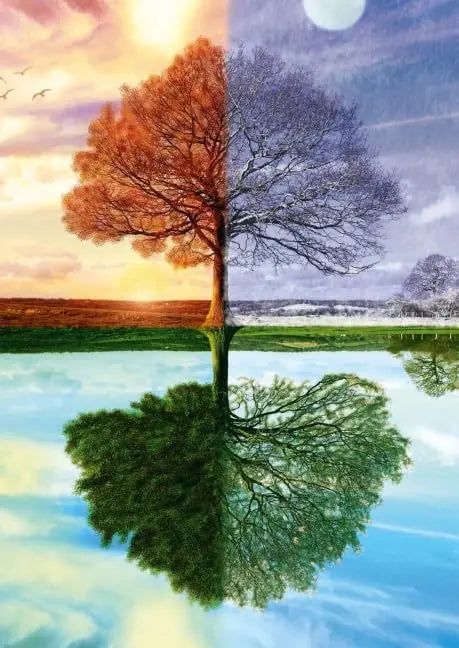 PZ500: L'ARBRE DES 4 SAISONS SCHMIDT PUZZLE