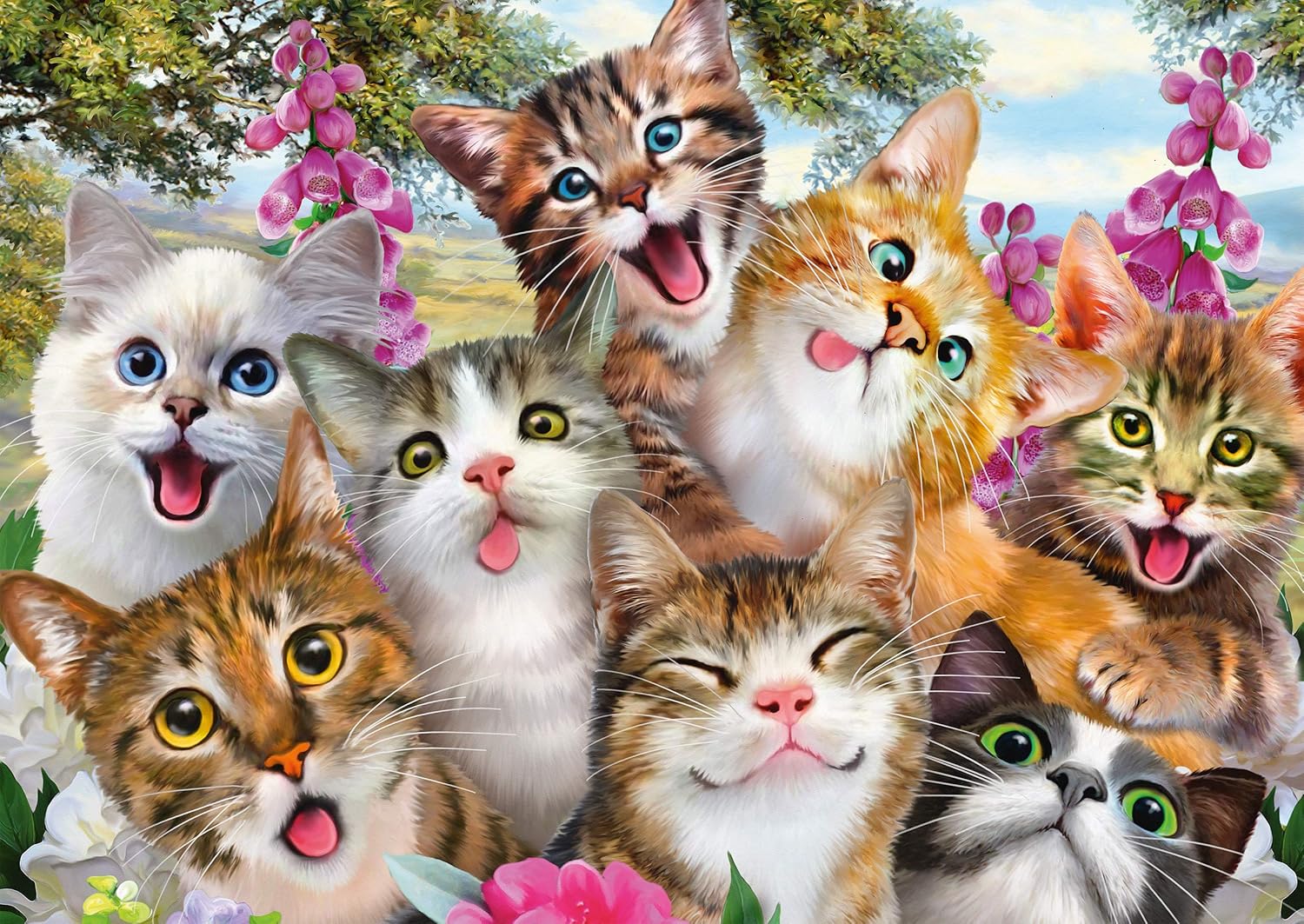 PZ500: CAT SELFIE