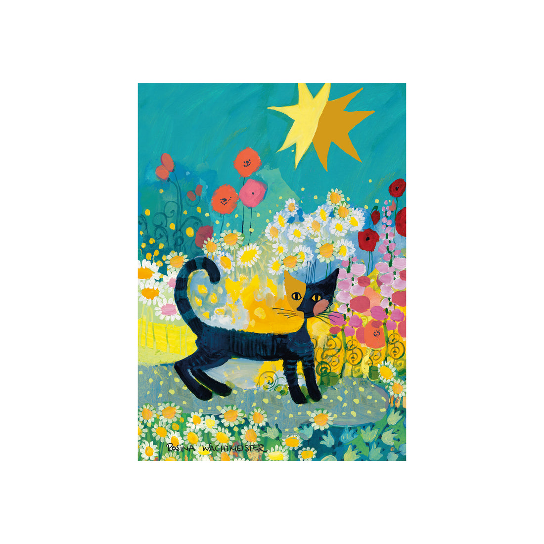PZ1000: ROSINA WACHTMEISTER, CAT IN A SEA OF BLOSSOM