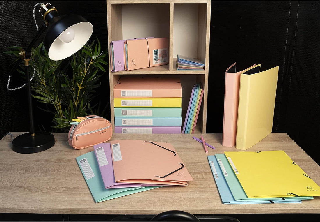 Binder Box 40mm Assorted A4 (8.3x11.7in)