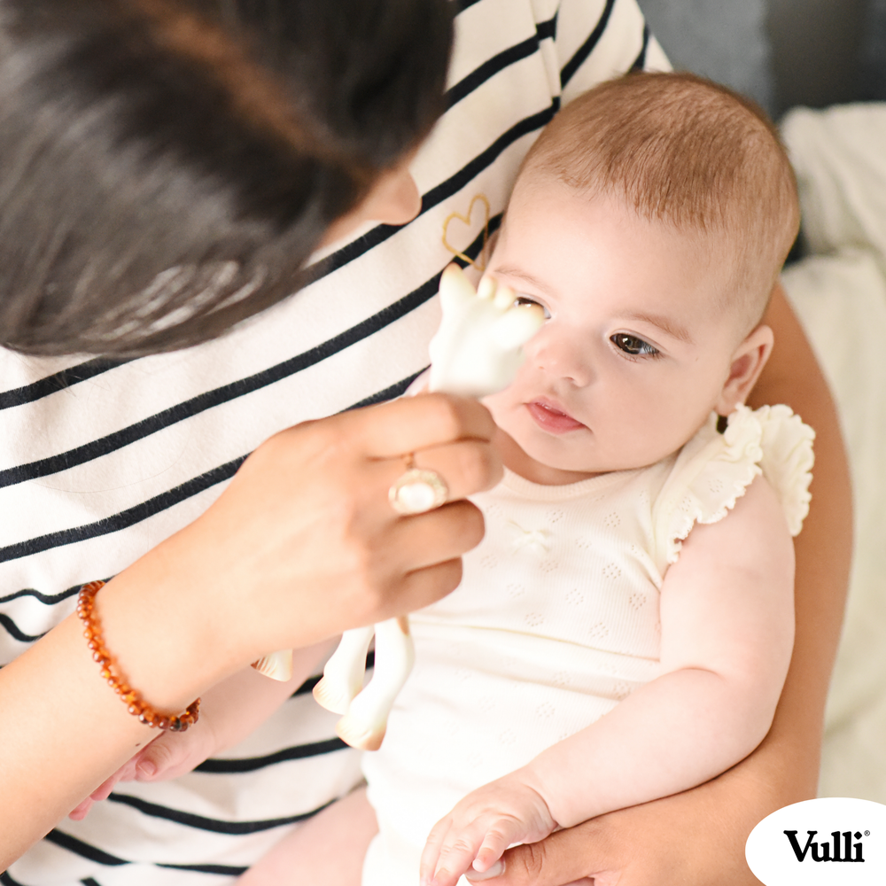 IL ÉTAIT UNE FOIS... : SOPHIE LA GIRAFE SOPHIE