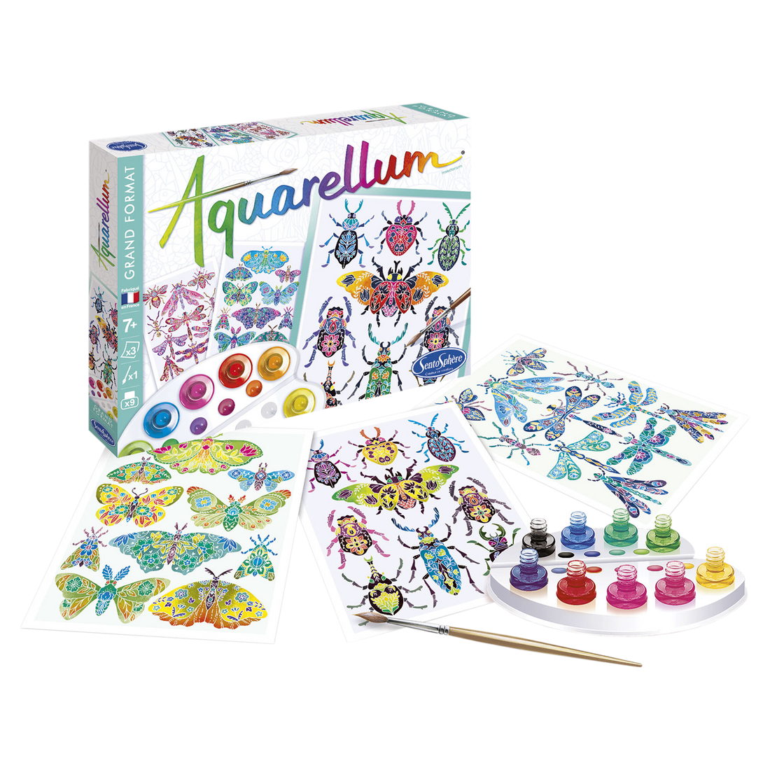 AQUARELLUM - INSECTARIUM SENTOSPHERE