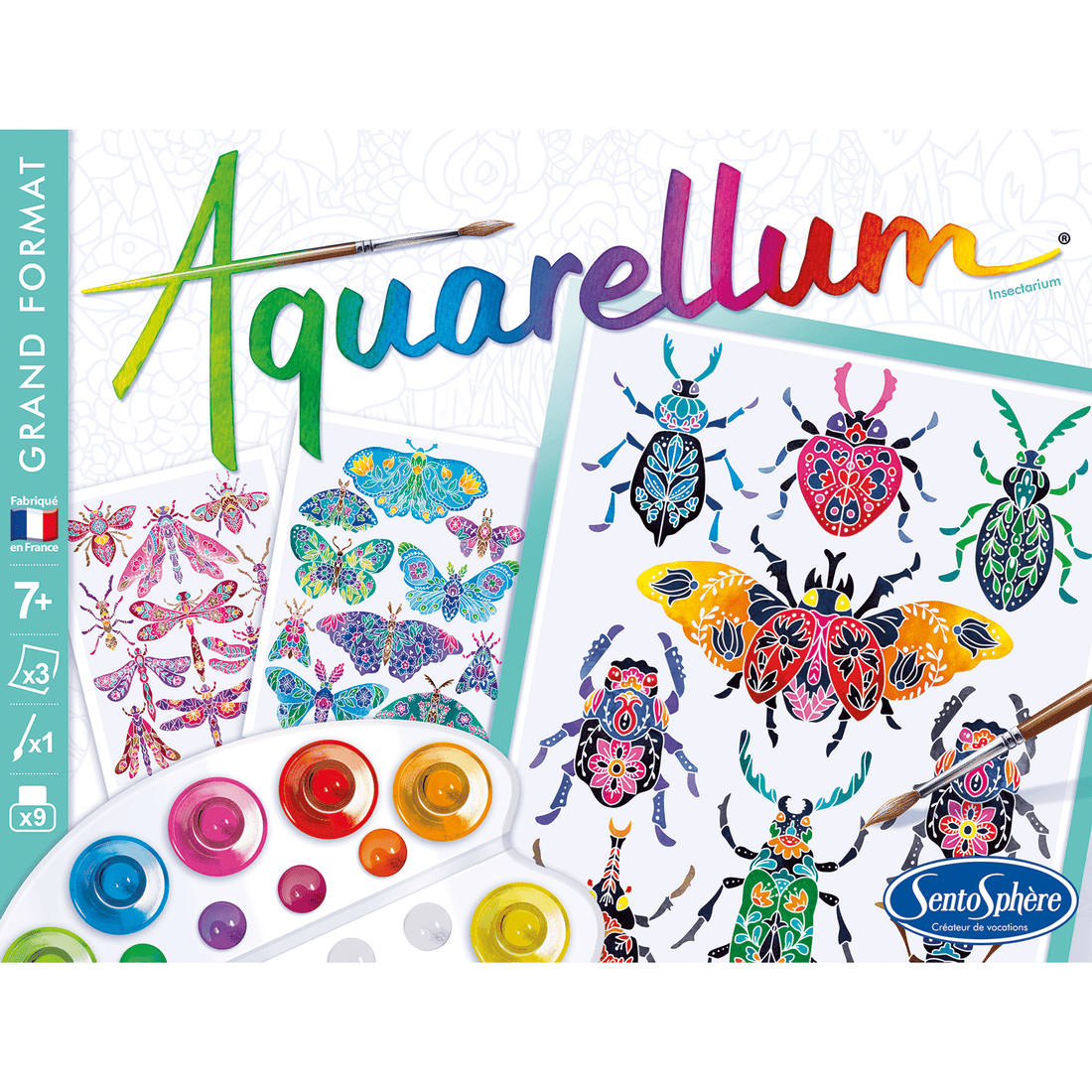 AQUARELLUM - INSECTARIUM SENTOSPHERE