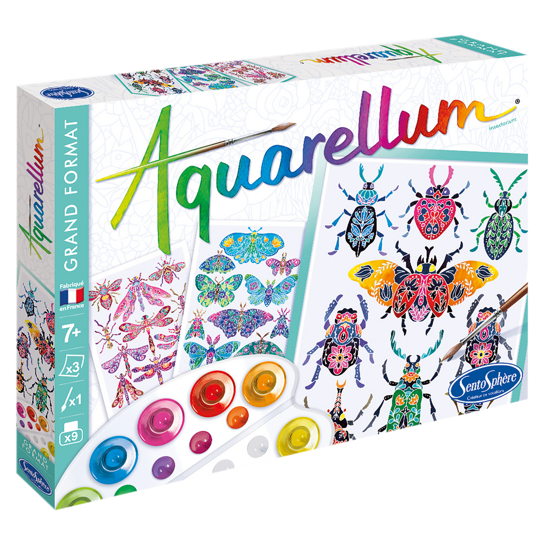AQUARELLUM - INSECTARIUM SENTOSPHERE