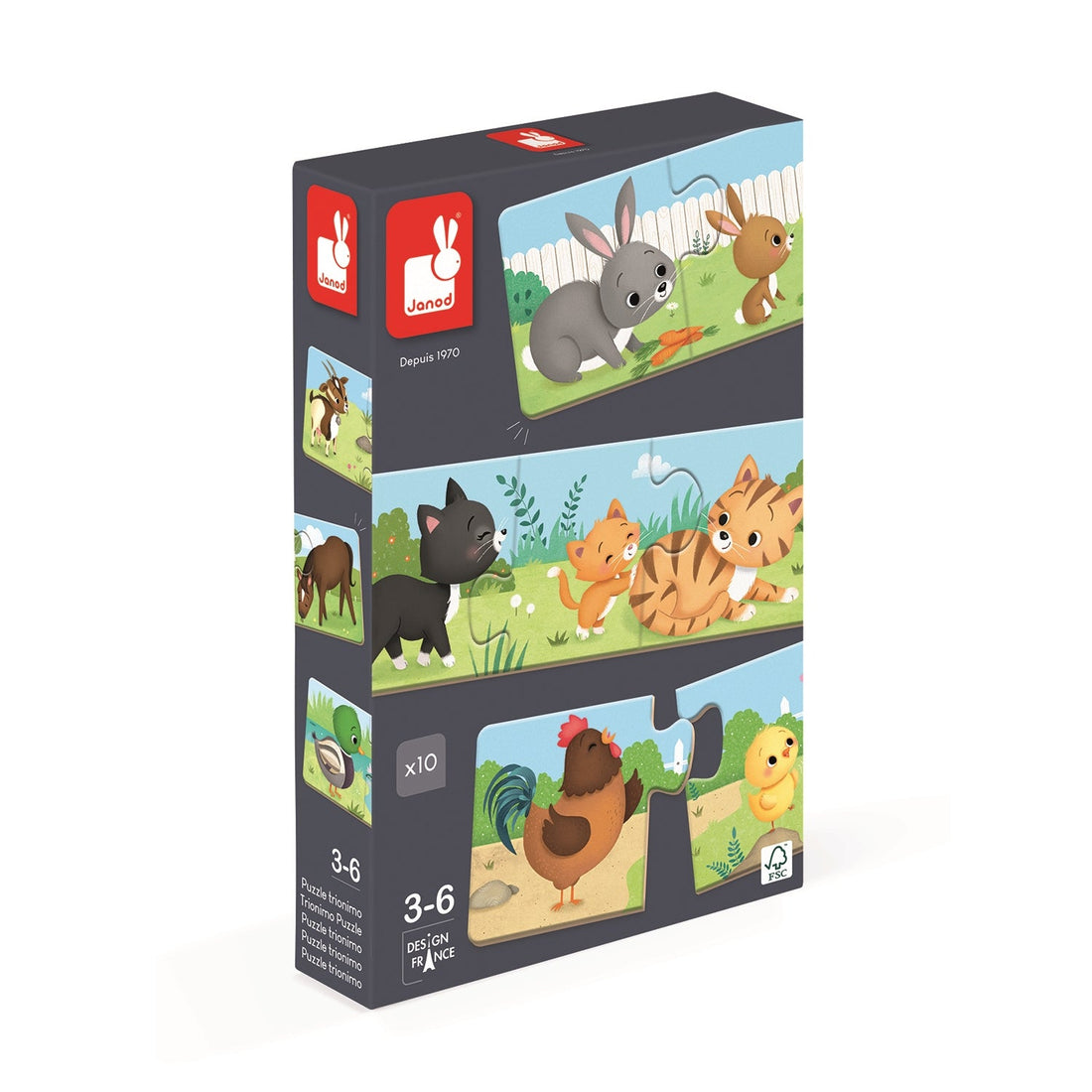 PZ10: TRIONIMO JANOD PUZZLES