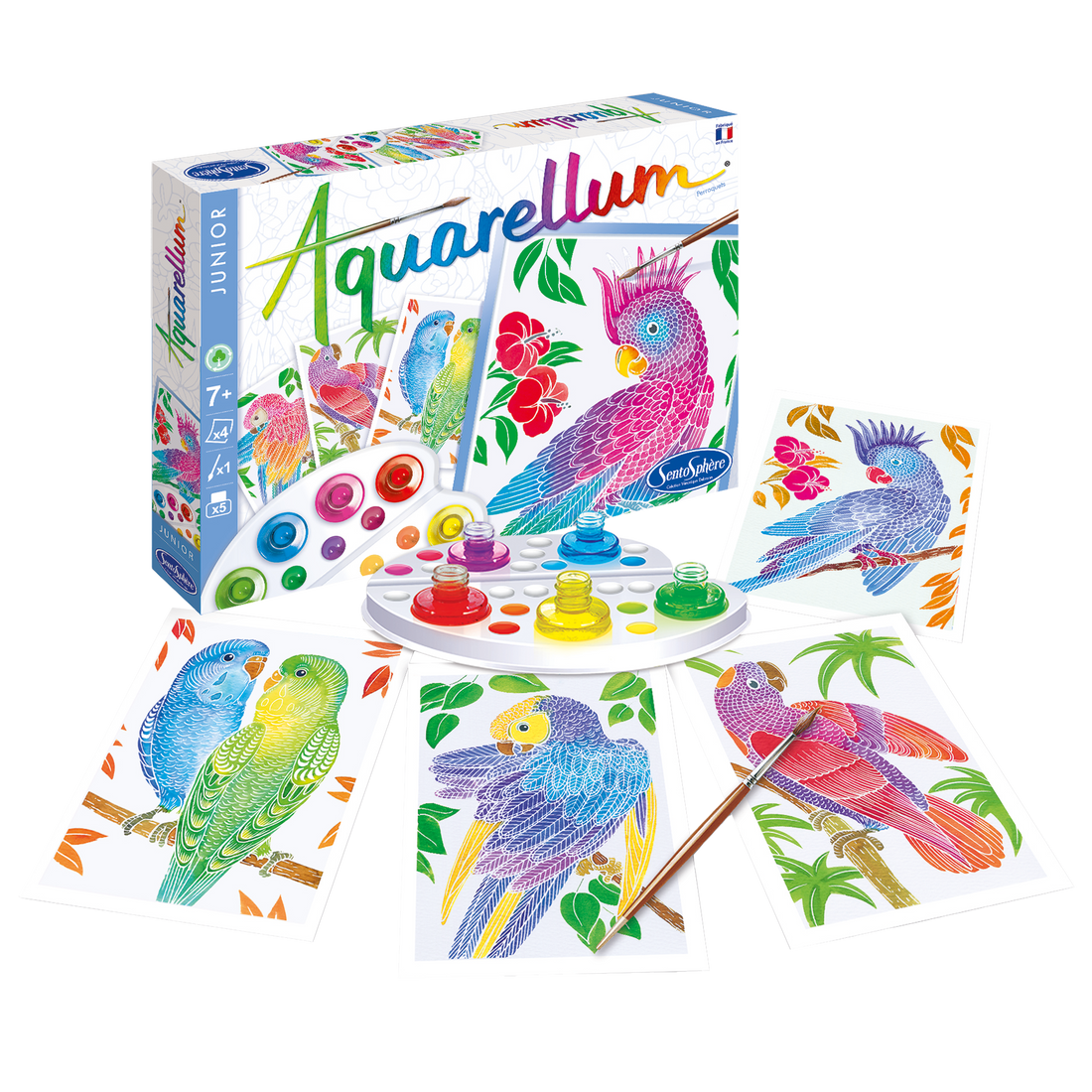 AQUARELLUM JR - PERROQUETS SENTOSPHERE