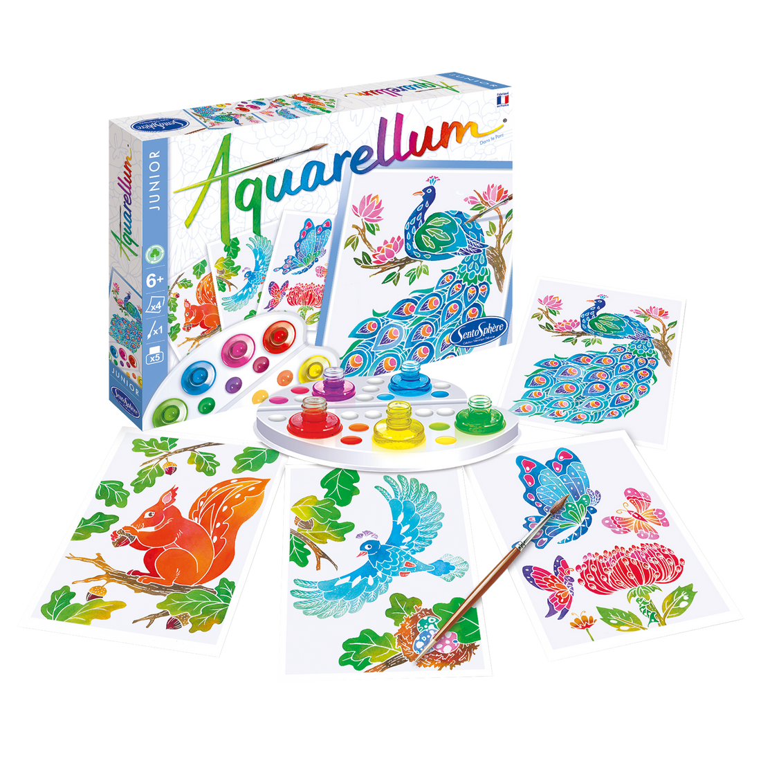 AQUARELLUM JR - DANS LE PARC SENTOSPHERE