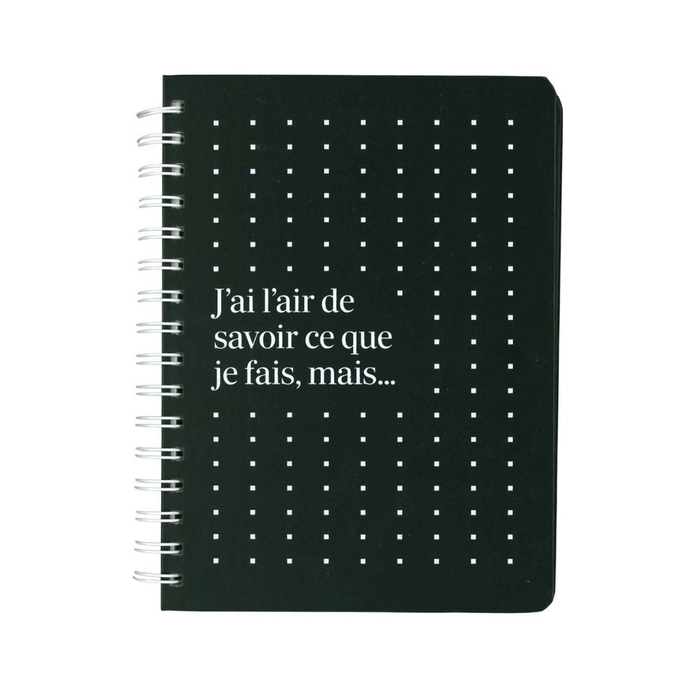 CAHIER DE NOTES- MEDIUM- J'AI L'AIR DE SAVOIR PBI LIVRES NOTES