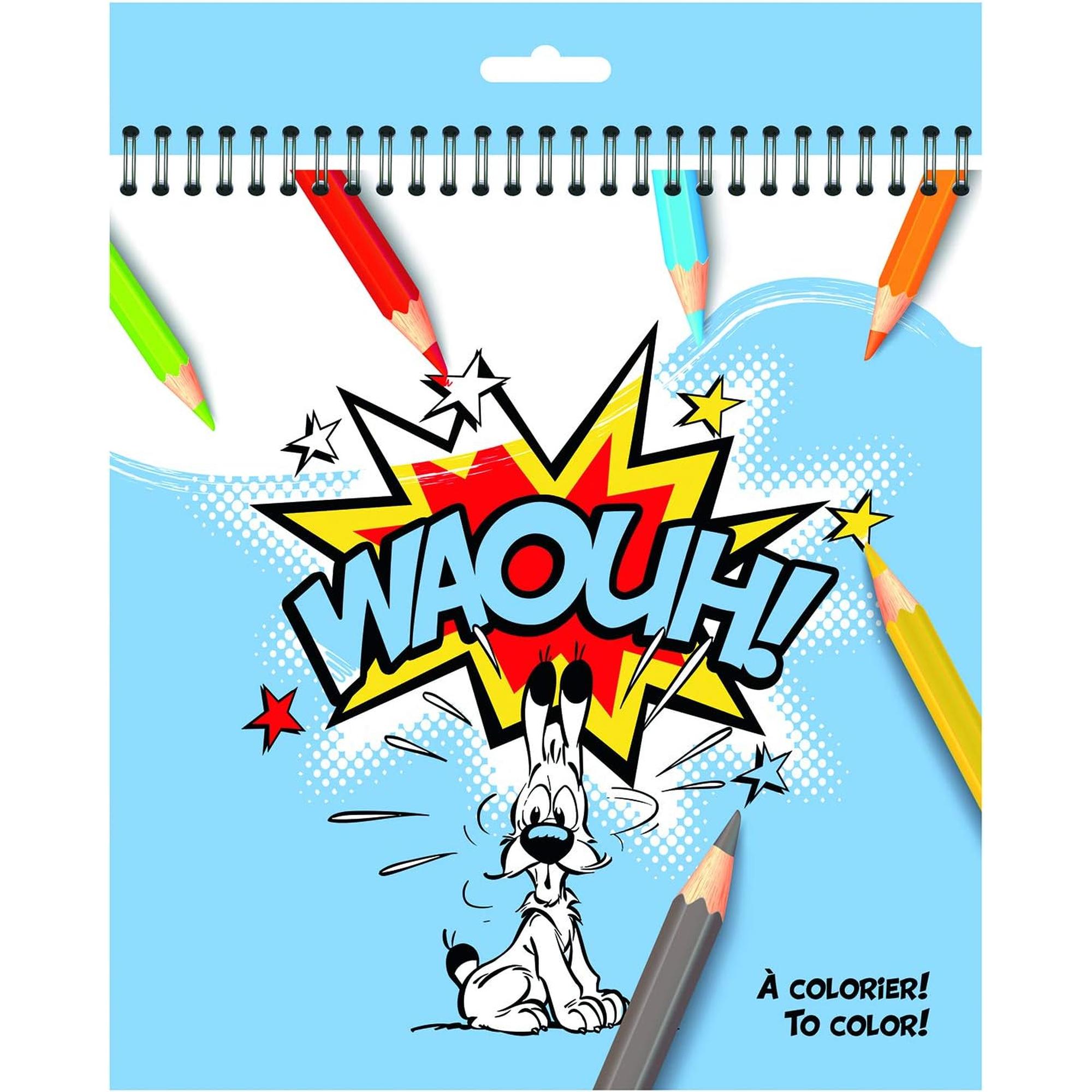 Ast3 Idéfix Bloc De Coloriage 20X21 60 Pages CLAIREFONTAINE