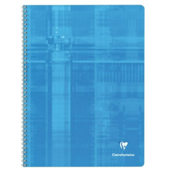Cahier reliure intégrale seyes -assortis- 180 pages (24x32cm) CLAIREFONTAINE