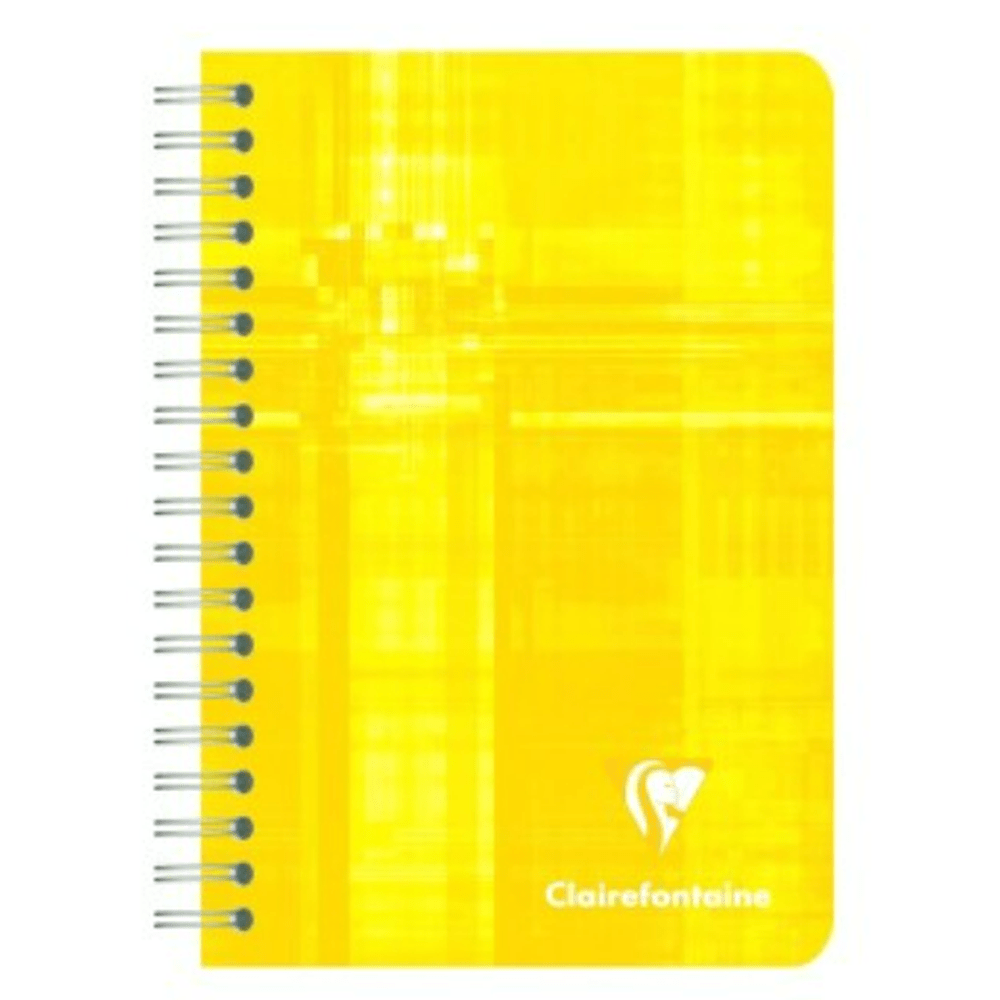 Cahier à reliure intégrale Graphique 180P 9.5x14cm. Assortis CLAIREFONTAINE