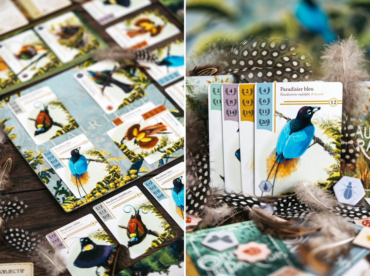 OISEAUX DE PARADIS ORIGAMES