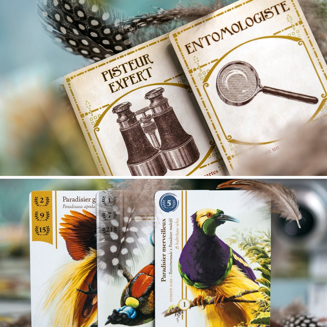 OISEAUX DE PARADIS ORIGAMES