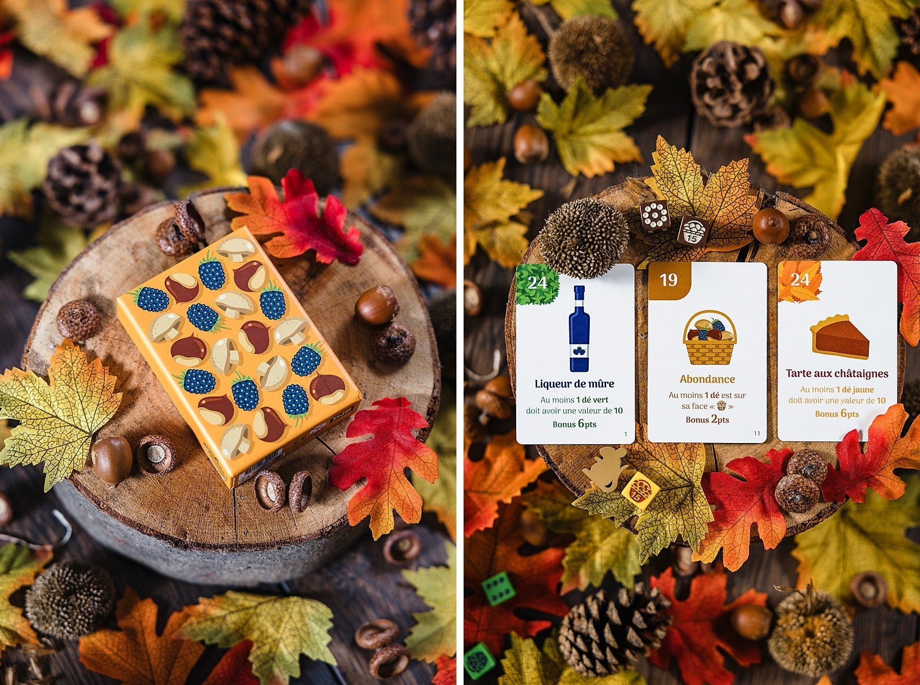 HORTIS AUTOMNE ORIGAMES