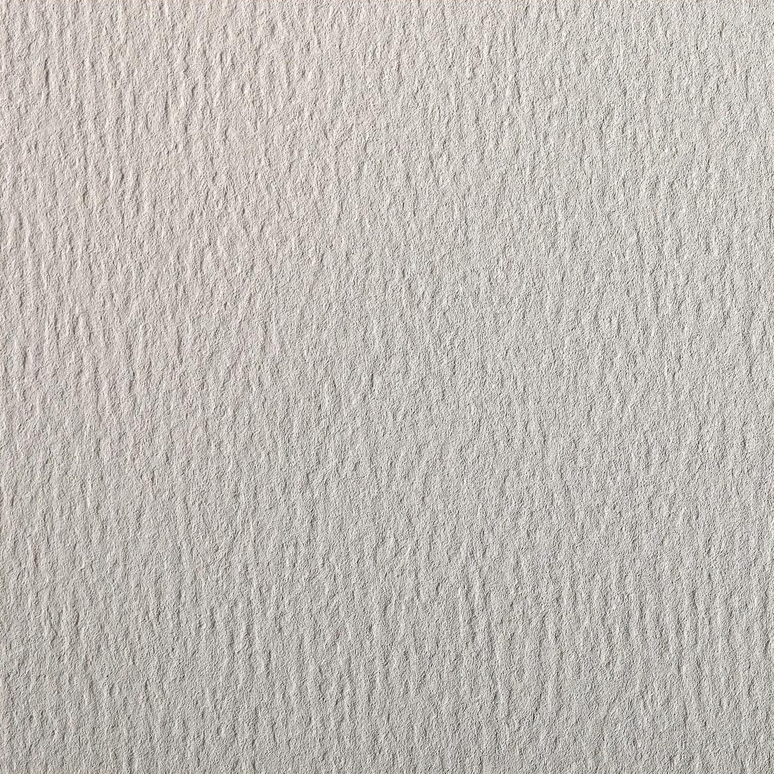 Papier dessin couleur paquet Etival Color 160G gris clair 24 feuilles (50 x 65 cm) by CLAIREFONTAINE