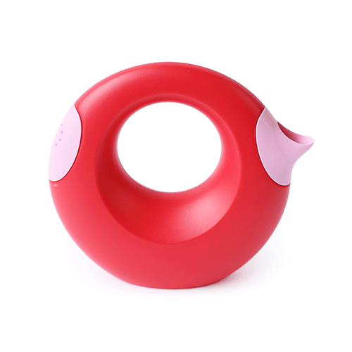 CANA  - CERISE (GRAND) QUUT