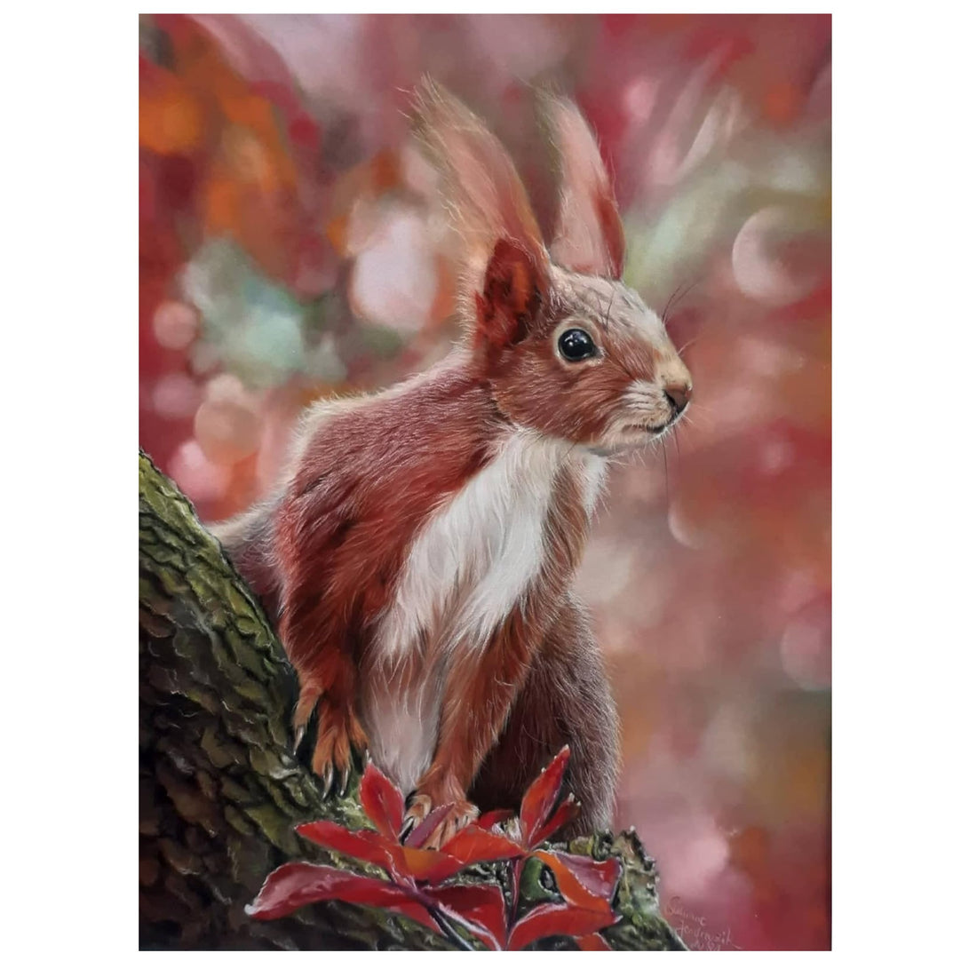 Pastelmat Pack of 5 Sheets 360g  White  19.7x27.5in