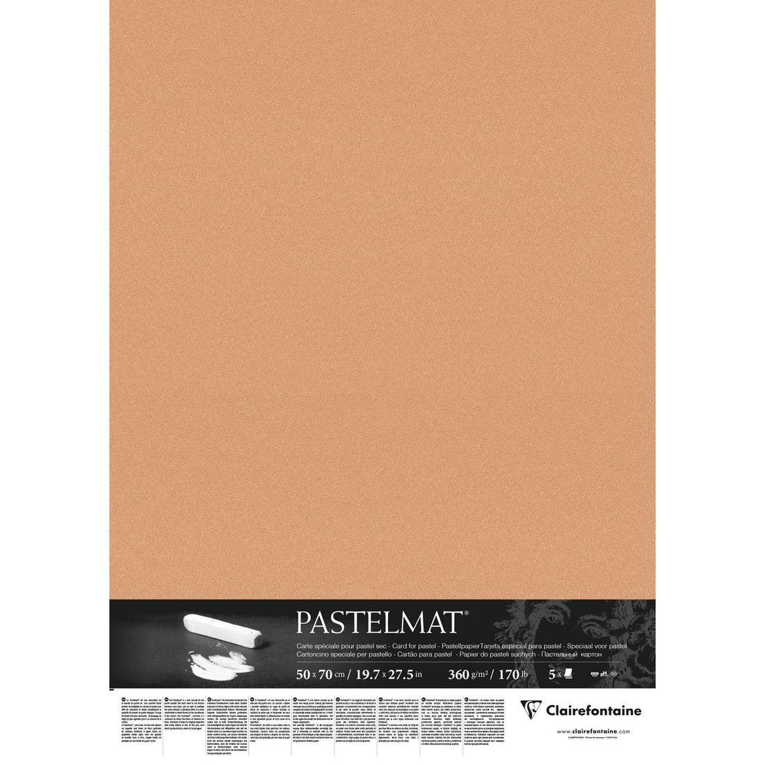Paquet Pastelmat 50x70cm 5F 360g sienne CLAIREFONTAINE