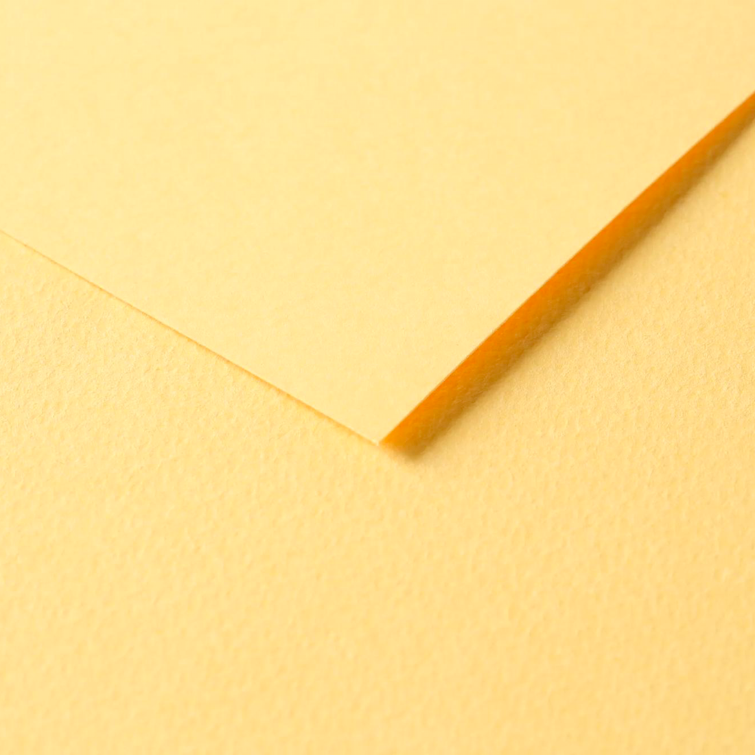 Tulipe Cardboard 160gr Buttercup 25 sheets 20 x 25,5 in