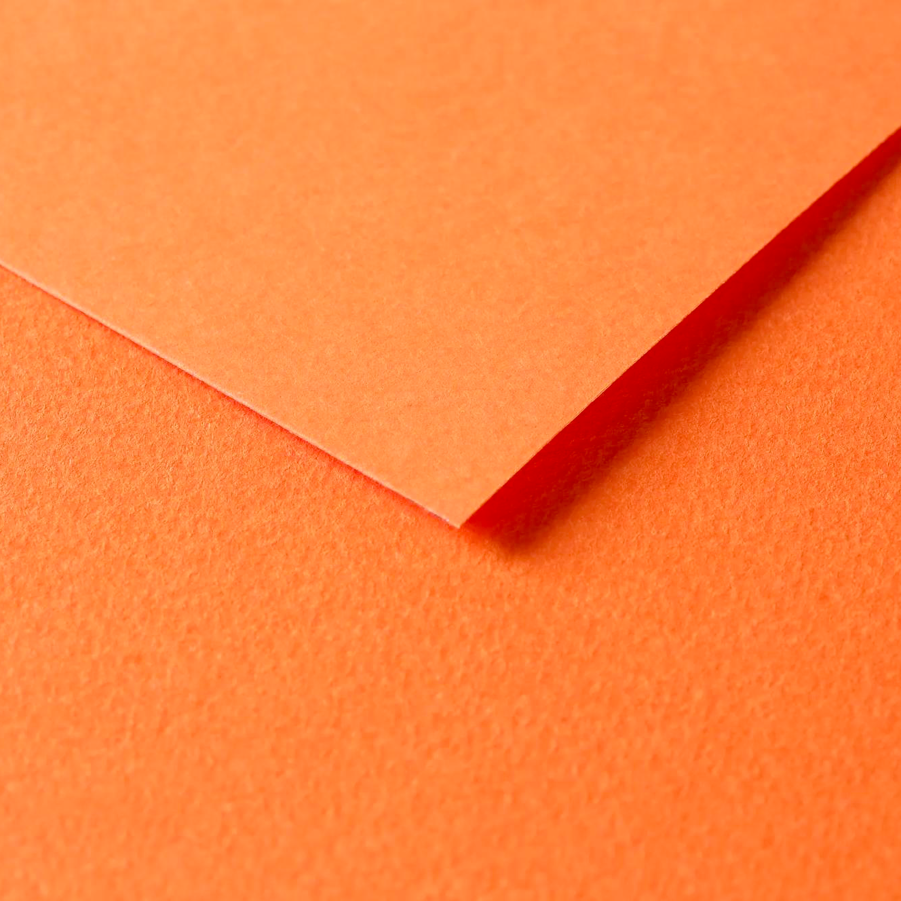 Tulipe Cardboard 160gr Orange 25 sheets 20 x 25,5 in