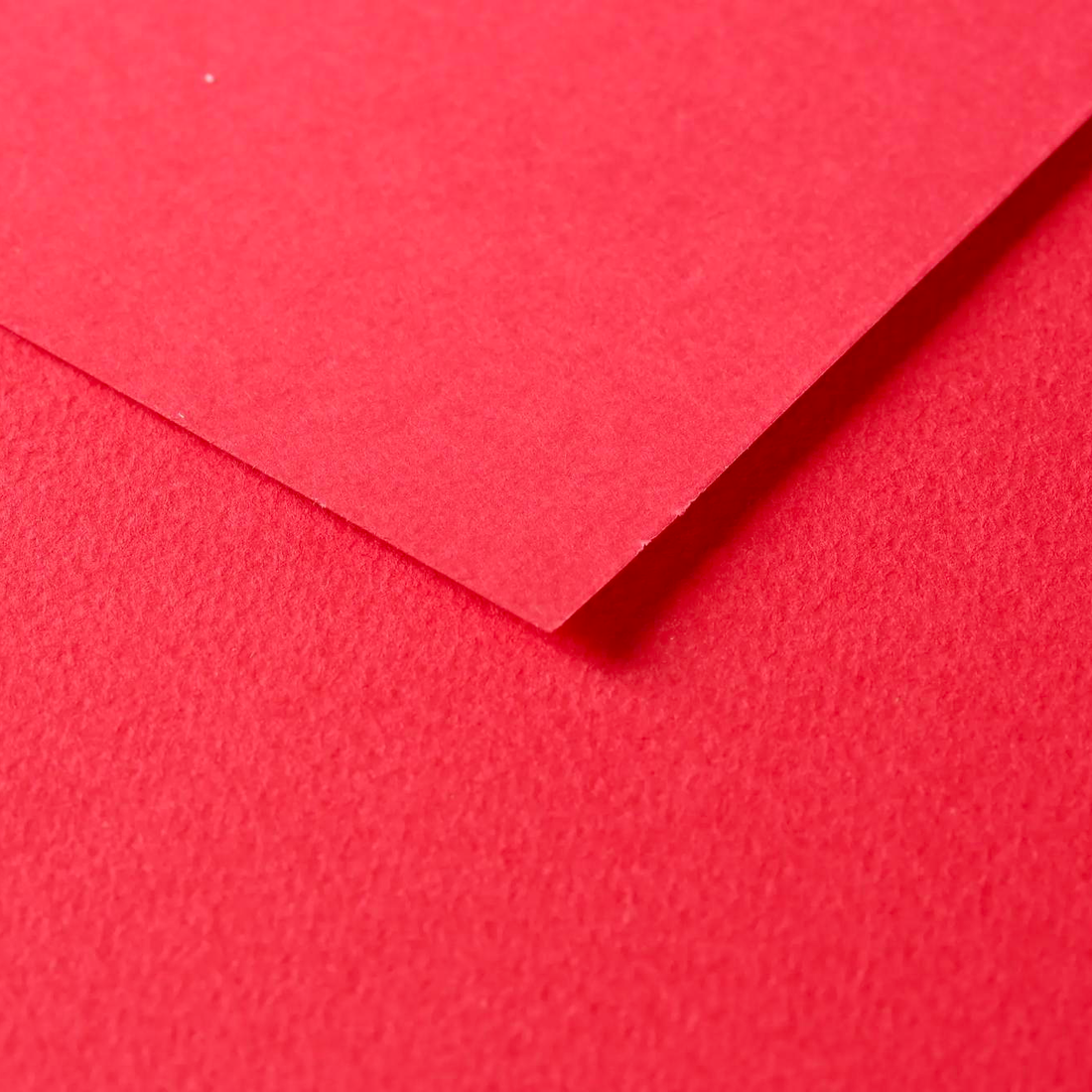Tulipe Cardboard 160gr Poppy 25 sheets 20 x 25,5 in