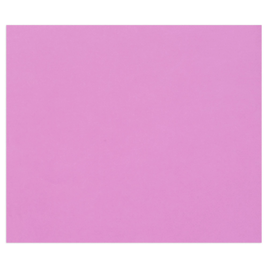 Carton Tulipe 160G lilas 25 feuilles (50 x 65 cm) by CLAIREFONTAINE