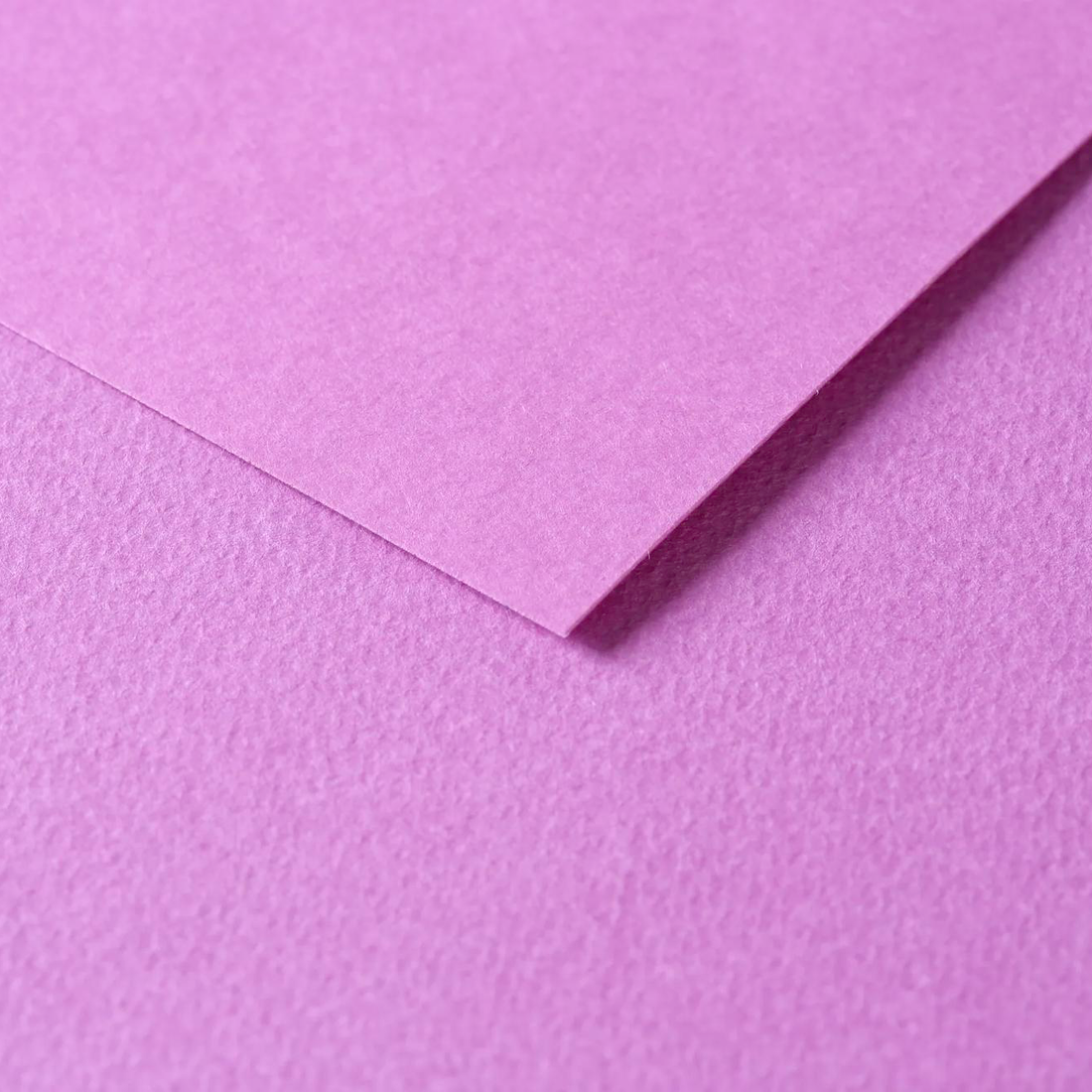 Tulipe Cardboard 160gr Lilac 25 sheets 20 x 25,5 in