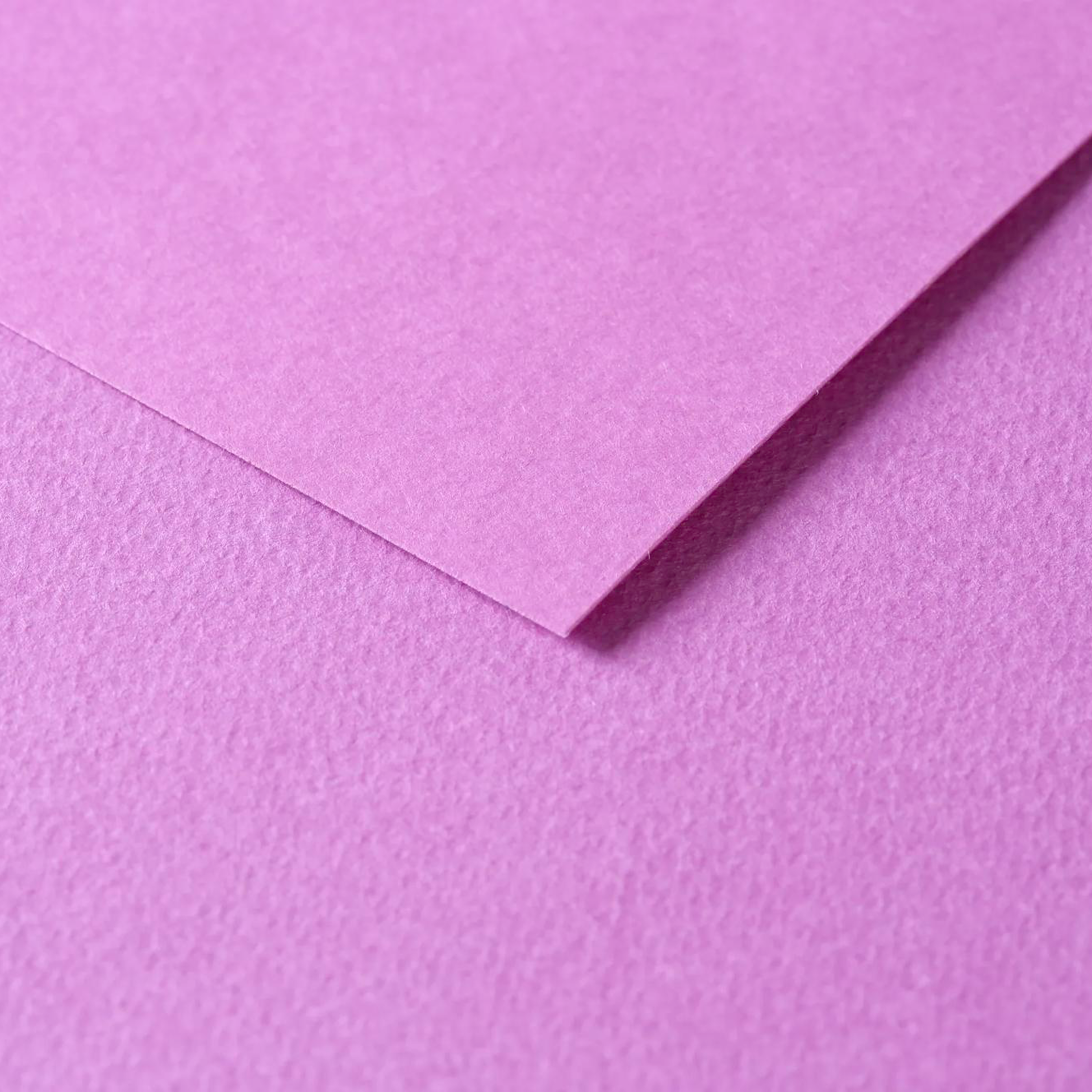 Tulipe Cardboard 160gr Lilac 25 sheets 20 x 25,5 in