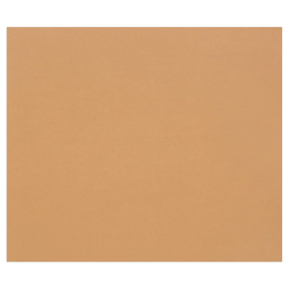 Carton Tulipe 160G marron clair 25 feuilles (50 x 65 cm) by CLAIREFONTAINE