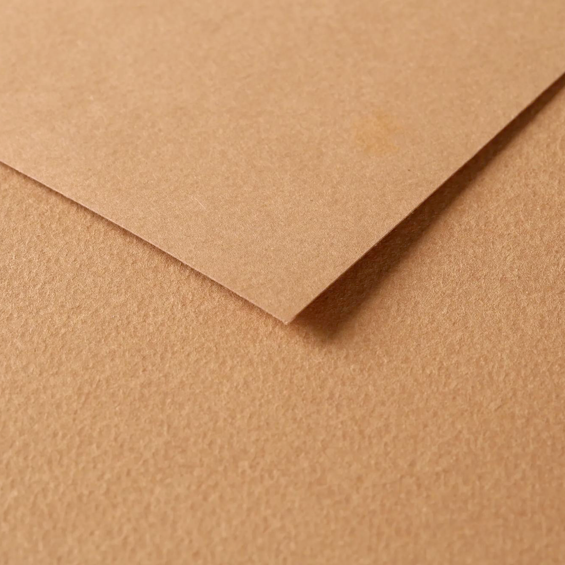 Tulipe Cardboard 160gr Brown 25 sheets 20 x 25,5 in