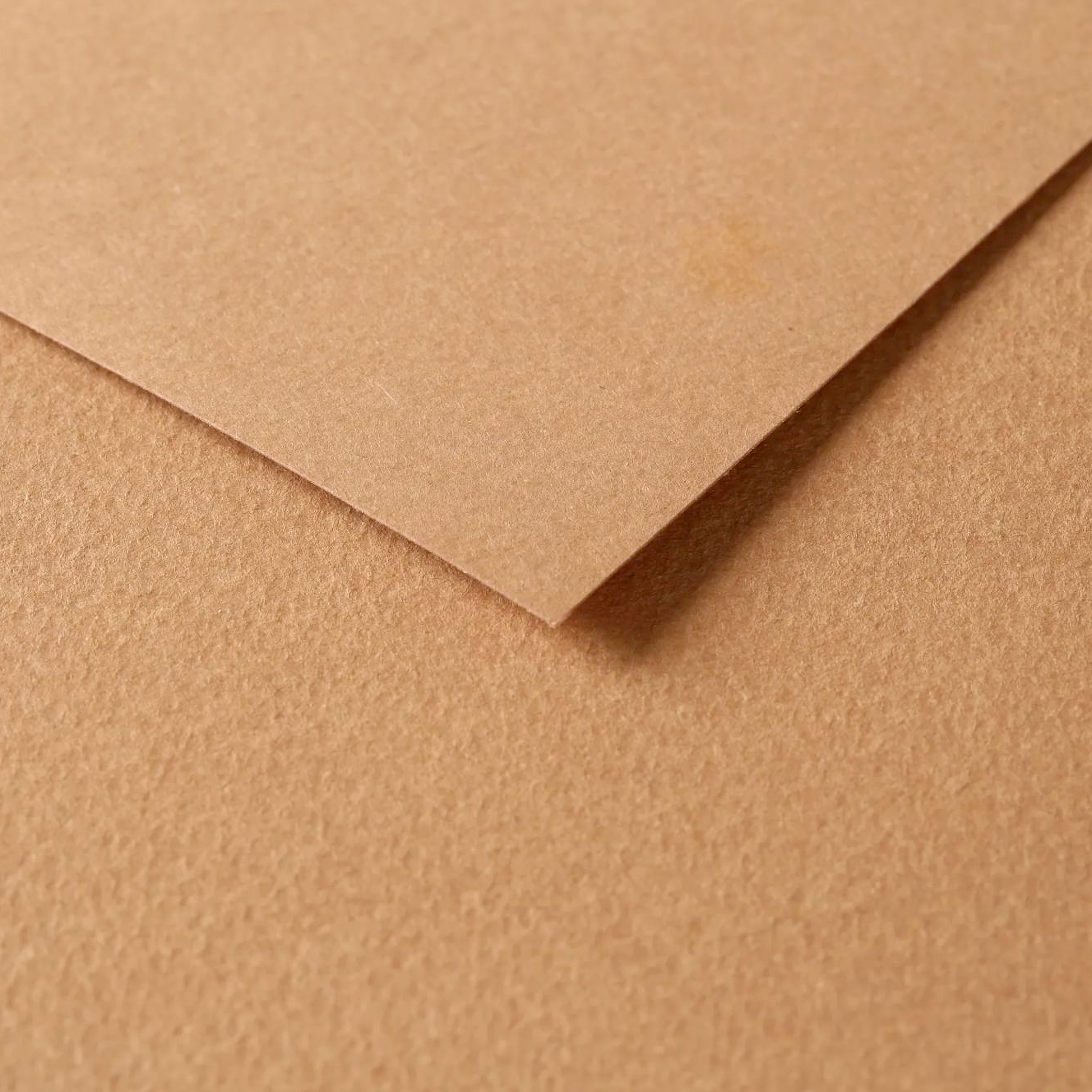 Tulipe Cardboard 160gr Brown 25 sheets 20 x 25,5 in