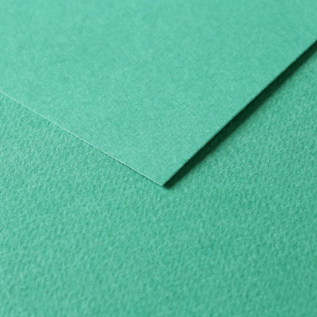 Tulipe Cardboard 160gr Dark Green 25 sheets 20 x 25,5 in