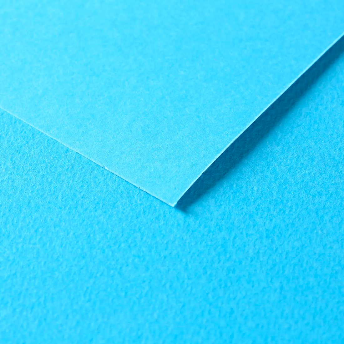 Tulipe Cardboard 160gr Turquoise 25 sheets 20 x 25,5 in