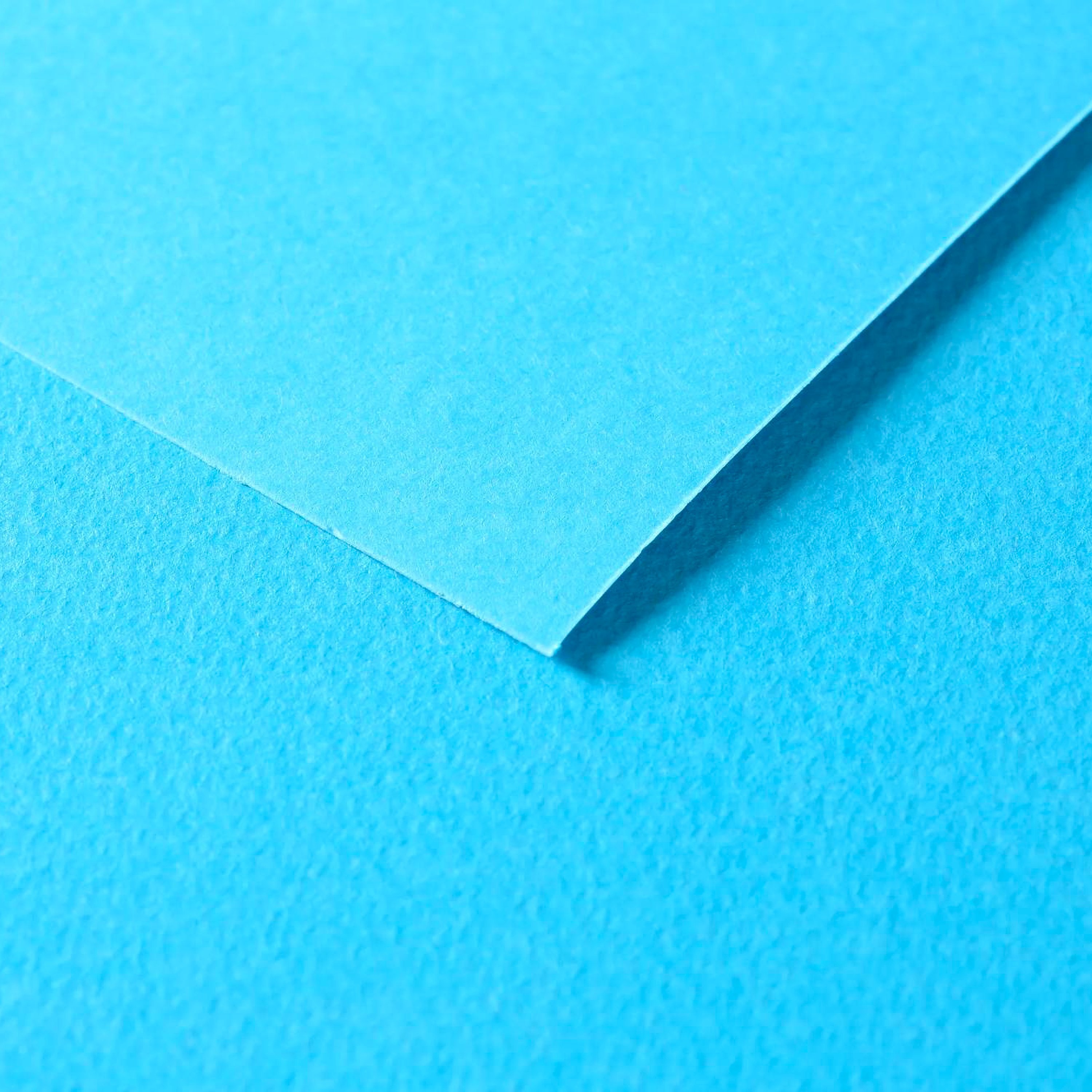 Tulipe Cardboard 160gr Turquoise 25 sheets 20 x 25,5 in
