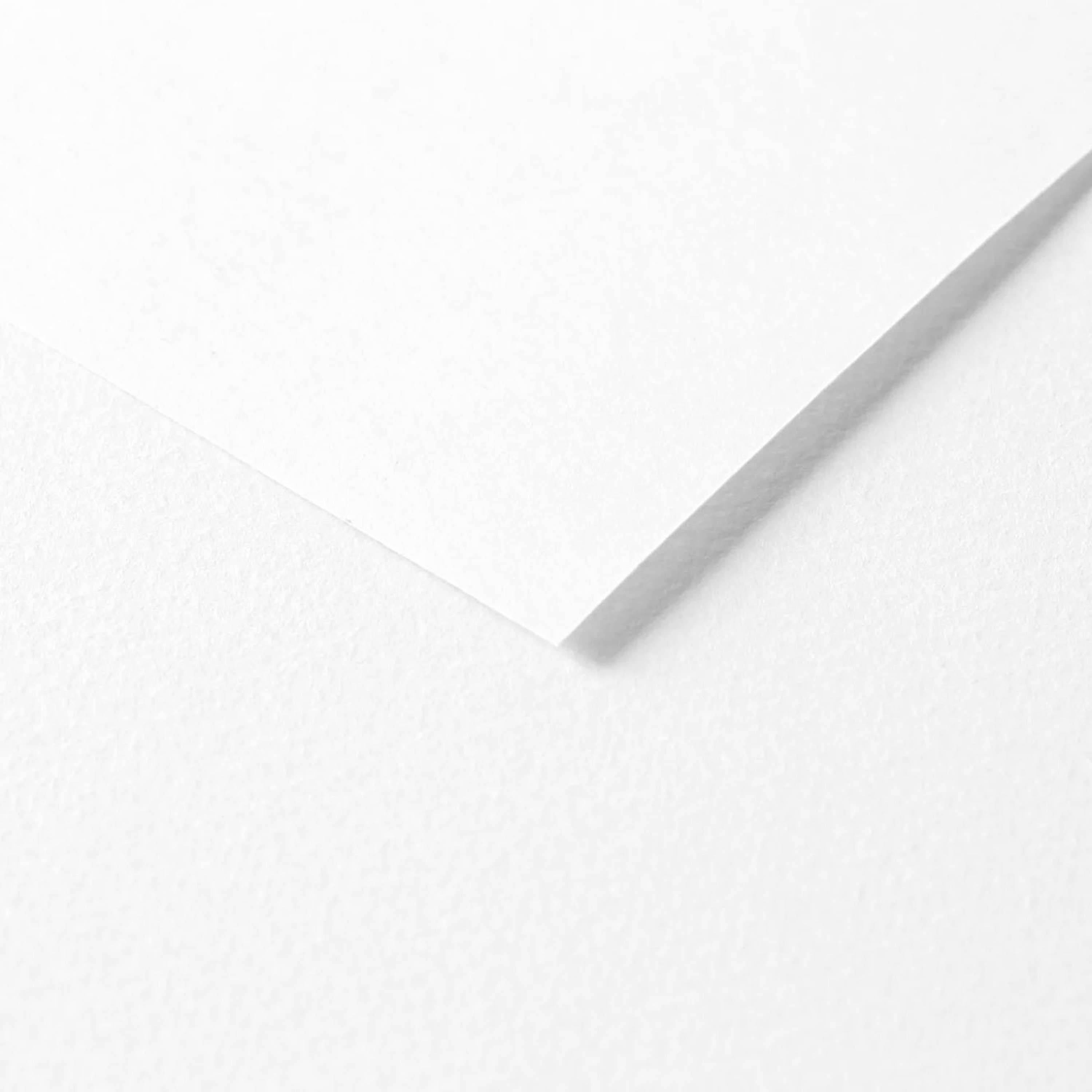 Tulipe Cardboard 160gr White 25 sheets 20 x 25,5 in