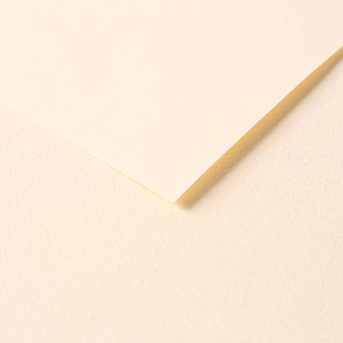 Tulipe Cardboard 160gr Ivory 25 sheets 20 x 25,5 in