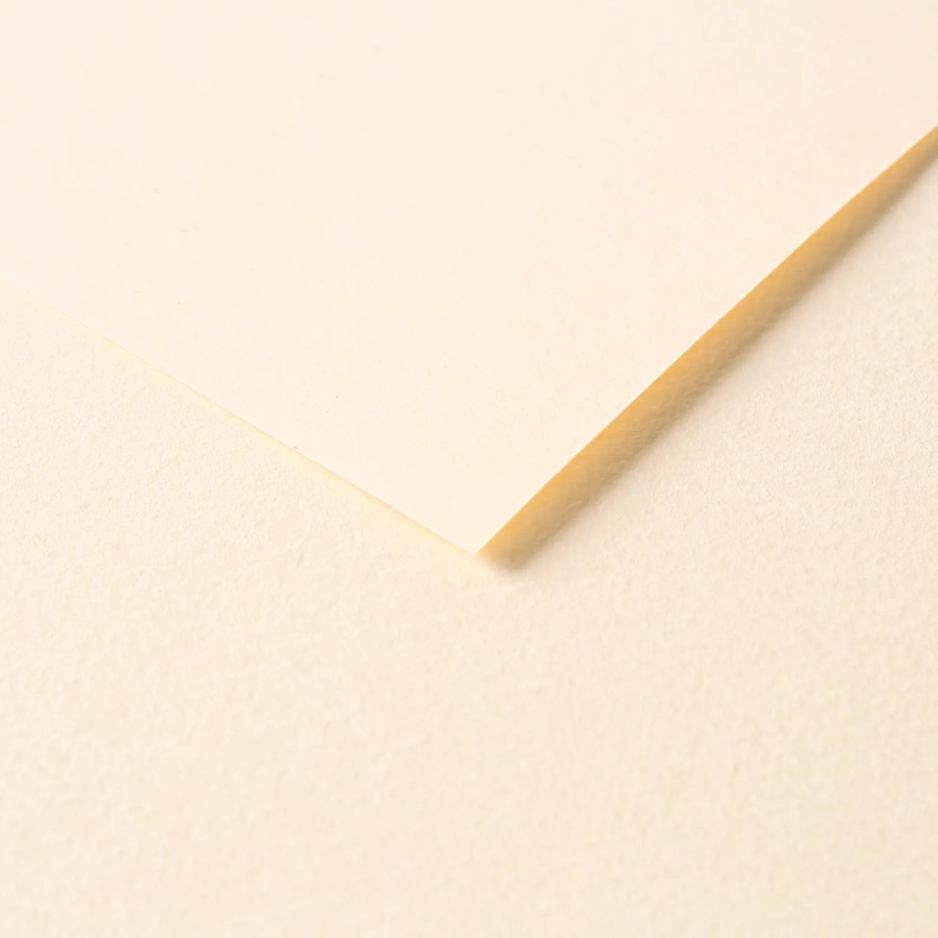 Tulipe Cardboard 160gr Ivory 25 sheets 20 x 25,5 in