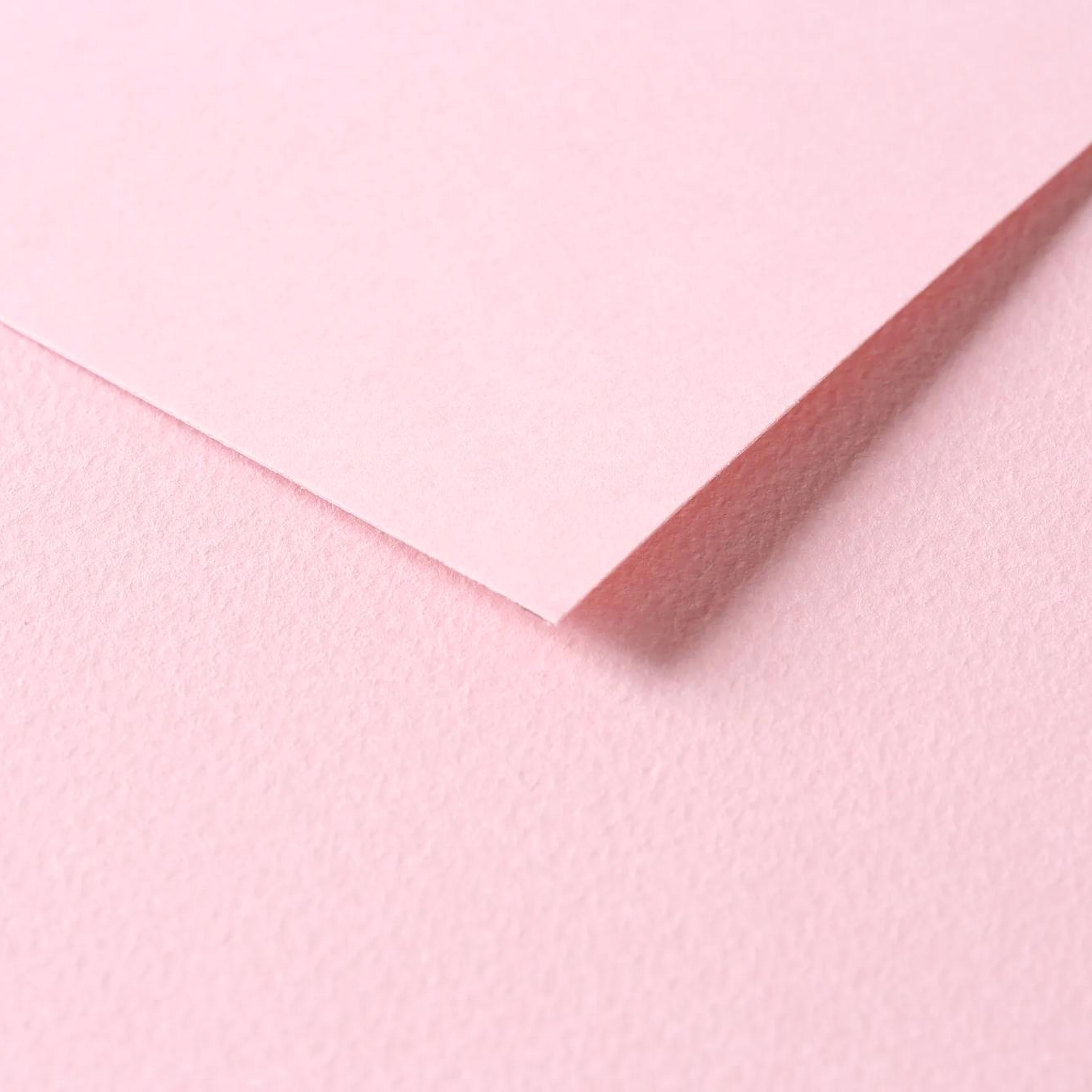 Tulipe Cardboard 160gr Pale Pink 25 sheets 20 x 25,5 in