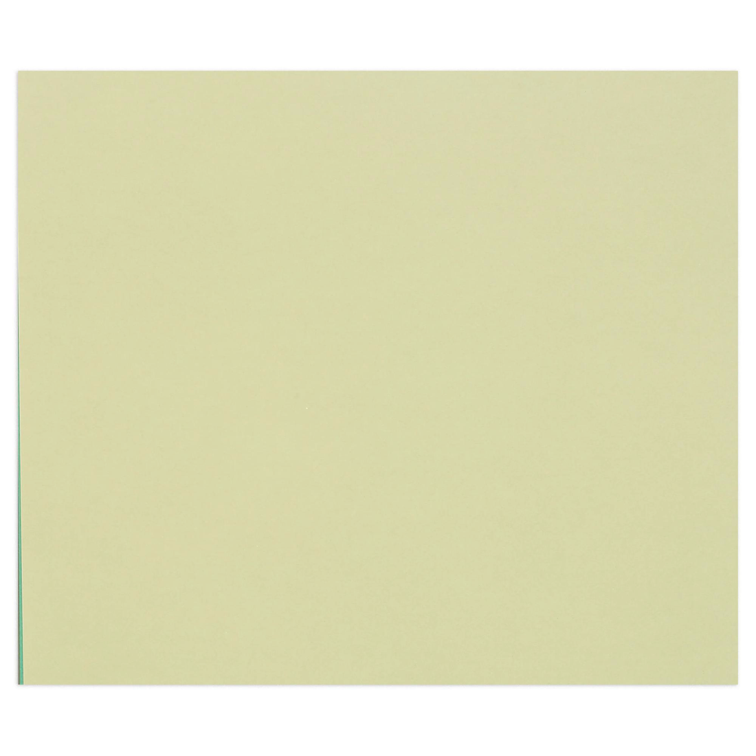 Carton Tulipe 160G vert tilleul 25 feuilles (50 x 65 cm) by CLAIREFONTAINE