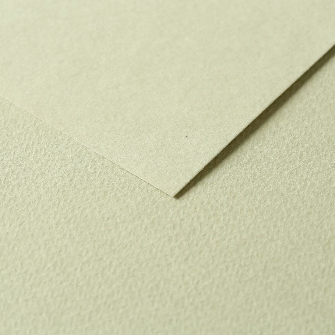 Tulipe Cardboard 160gr Linden Green 25 sheets 20 x 25,5 in