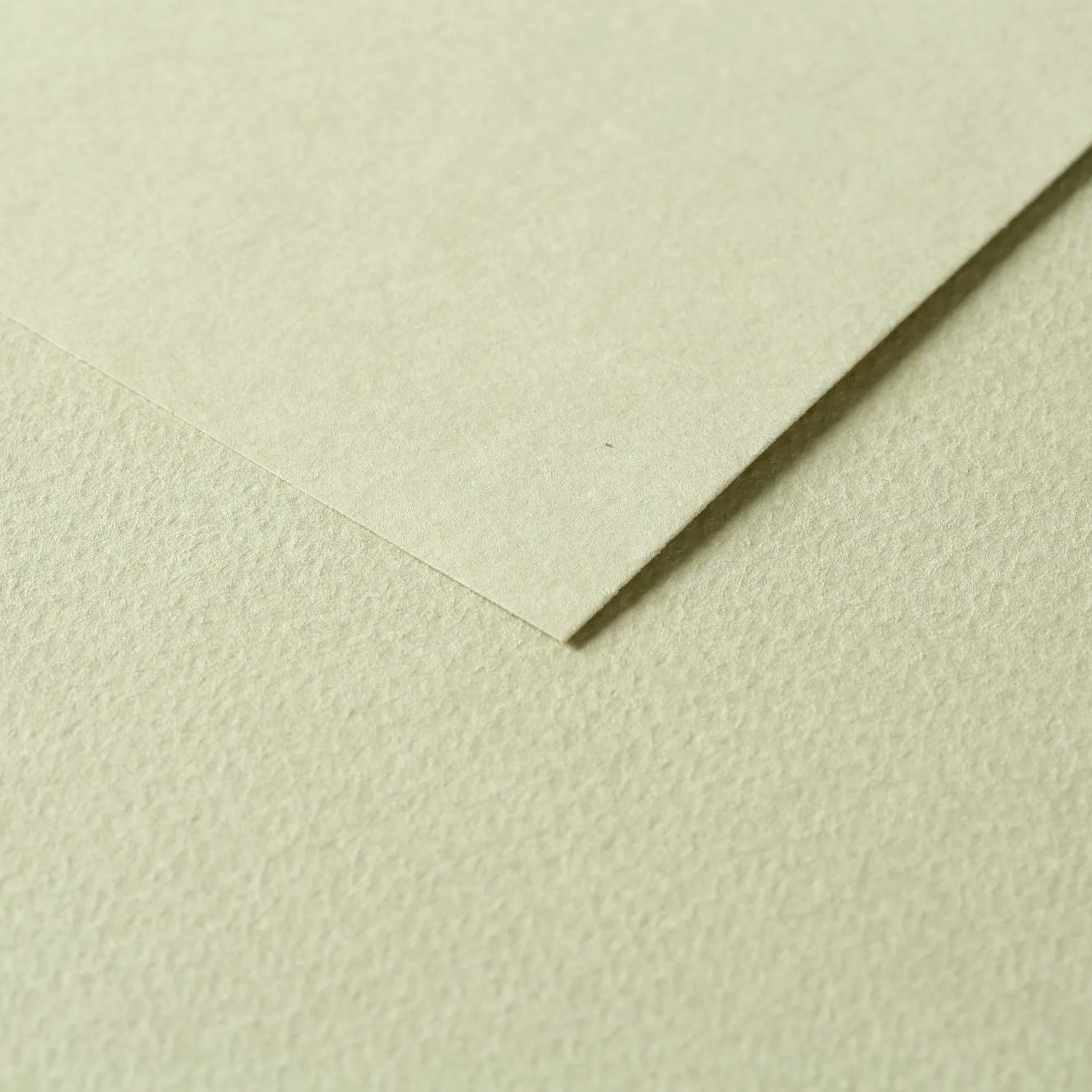 Tulipe Cardboard 160gr Linden Green 25 sheets 20 x 25,5 in