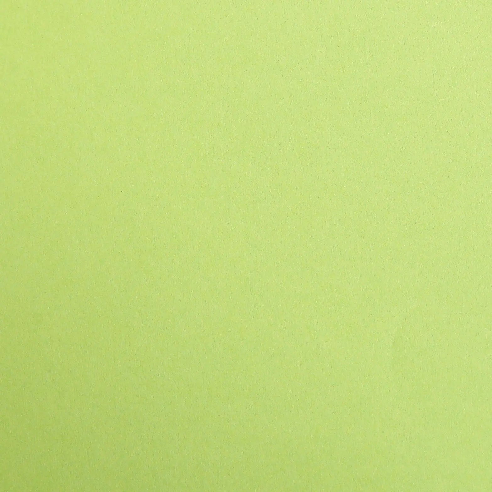 Maya 270g 25 feuilles  50x70cm -  Vert mousse CLAIREFONTAINE