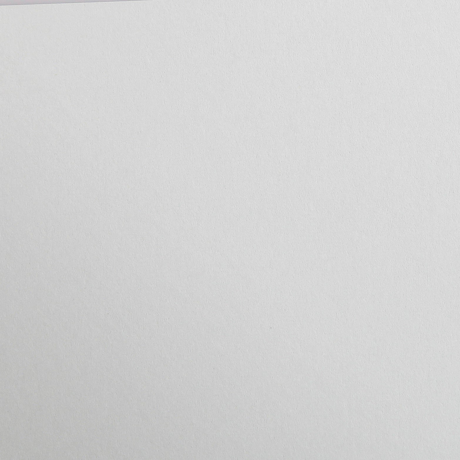 Maya 270g 25 feuilles  50x70cm -  Gris Clair CLAIREFONTAINE