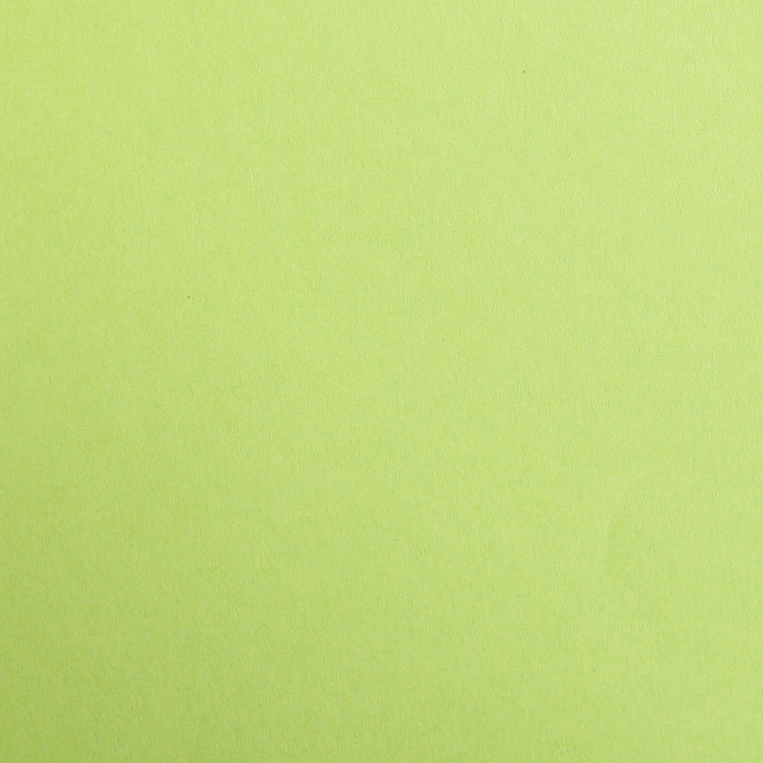 Maya 270g 25 feuilles  A4 - Vert mousse CLAIREFONTAINE