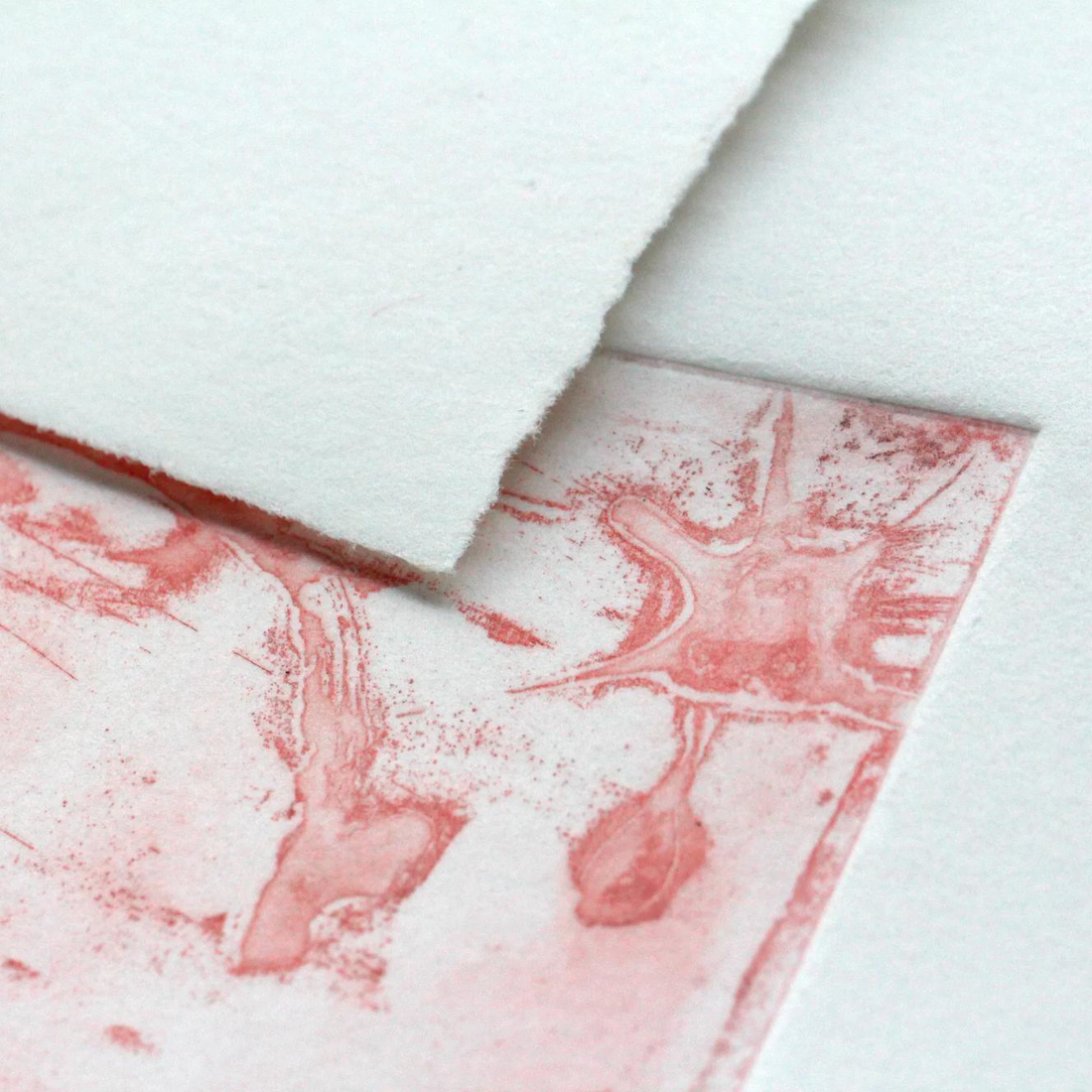Bloc technique d'impression Fleur de coton 250G 10 feuilles (56 x 76 cm) by CLAIREFONTAINE