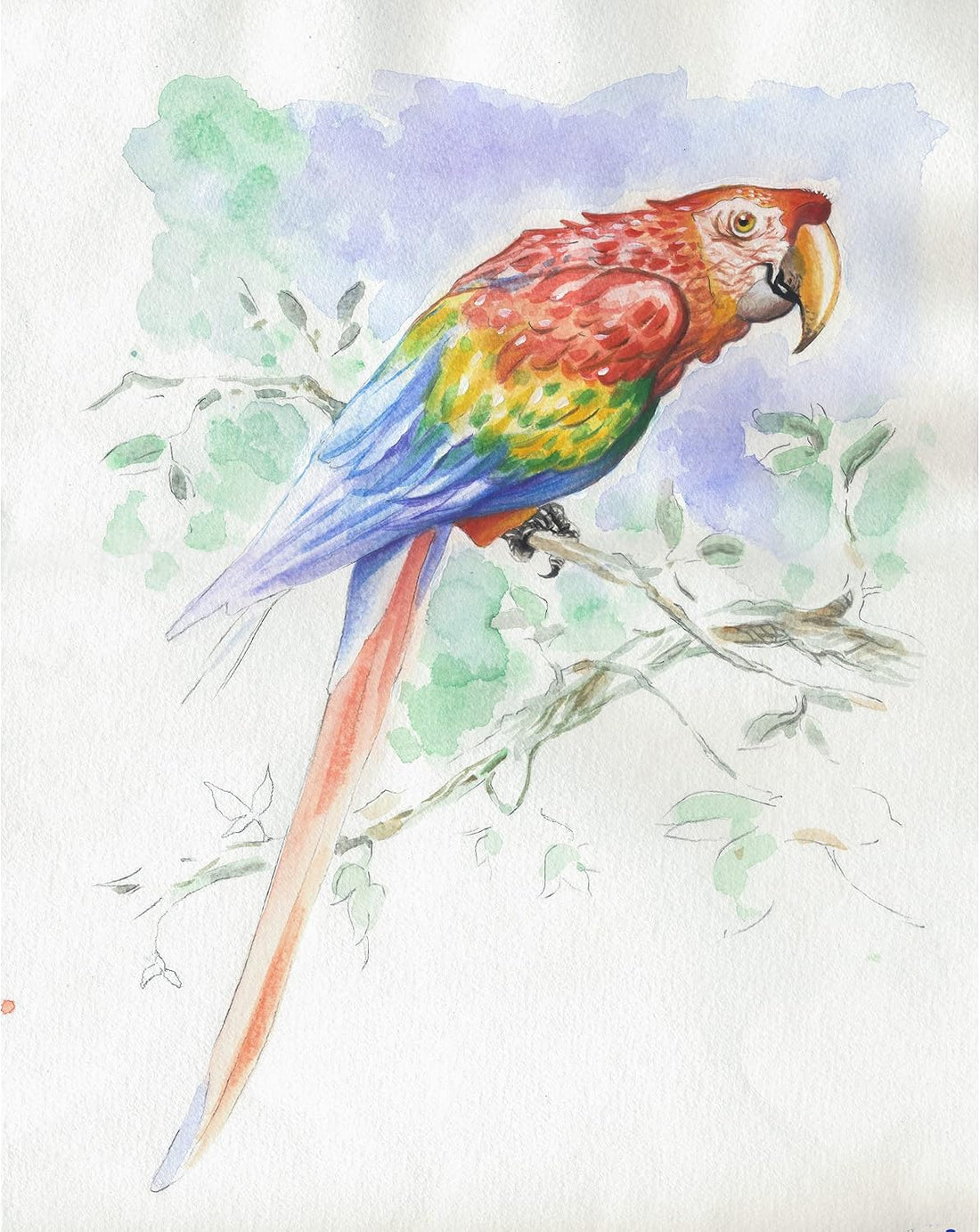 Initiation watercolour pad Animals 15sh (2shx6 designs) 3